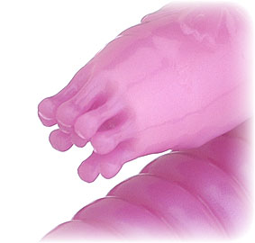 アダルトグッズ画像
