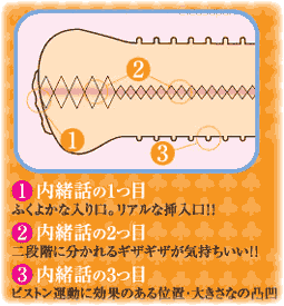 アダルトグッズ画像