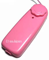 リモコンパピヨン