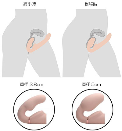 ＲＣエルゴポンピングフィット